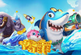 星空体彩app手机版