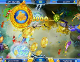 星空体彩app2024最新版